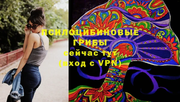 ешки Покачи
