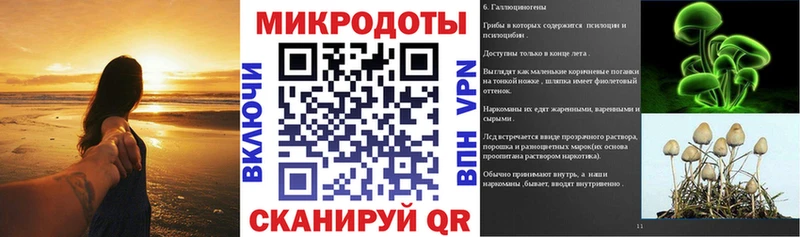 Псилоцибиновые грибы Psilocybine cubensis  omg ссылки  Медногорск 
